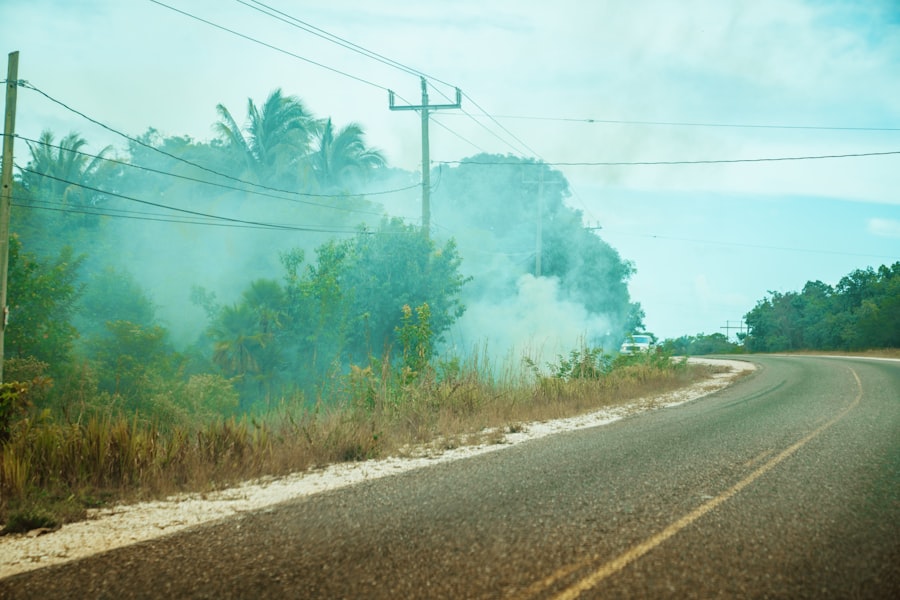 Photo Land Clearing
