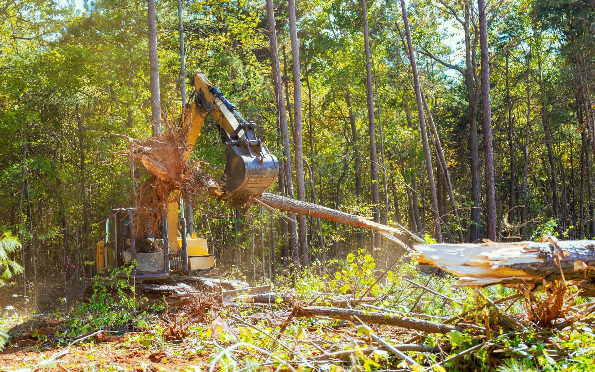 deason wildlife land management (1)